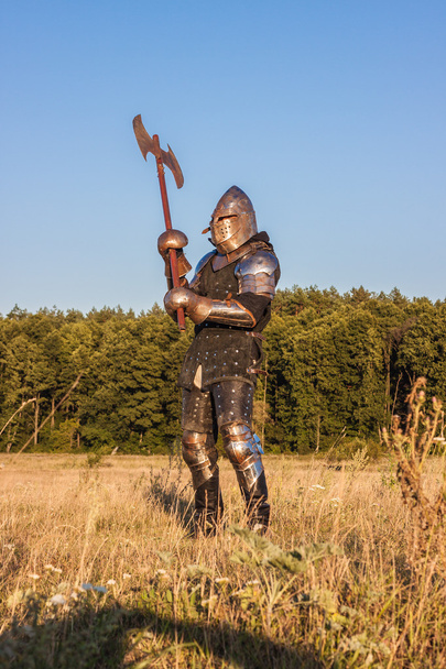 Medieval knight - Fotó, kép