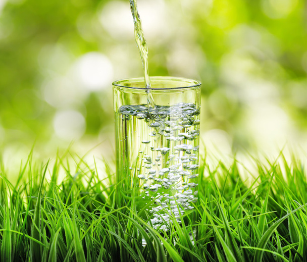 Glass of water on nature background - Foto, Imagen