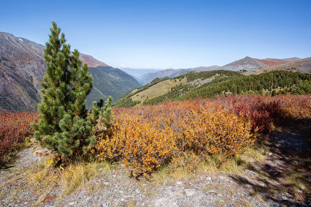 Altai, Altai mountains, mountain landscape, autumn, colorful. hike to the Altai. - Φωτογραφία, εικόνα