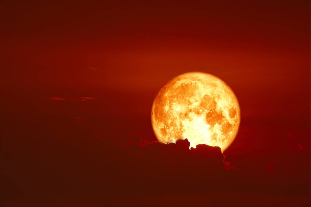 harvest blood moon back on silhouette red orange cloud and night - Photo, Image