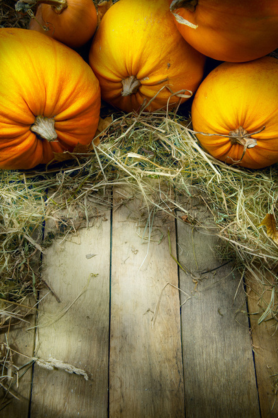 umění díkůvzdání dýně podzimní pozadí - Fotografie, Obrázek
