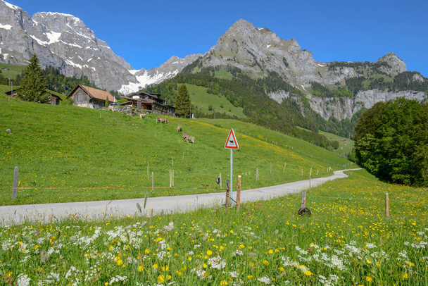 Krajobraz ze znakiem drogowym krowy w Engelbergu w Alpach Szwajcarskich - Zdjęcie, obraz