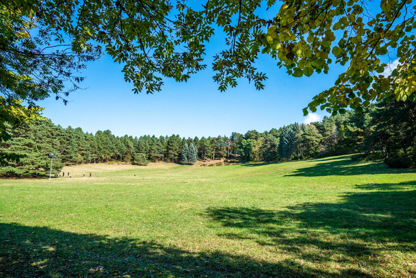 Green lawn in the middle of the park, a warm sunny autumn day - Fotografie, Obrázek
