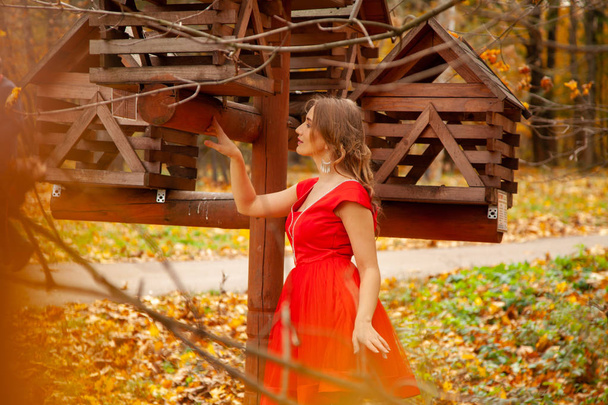 Fiatal nő séta az őszi kertben háttér egyedül - Fotó, kép