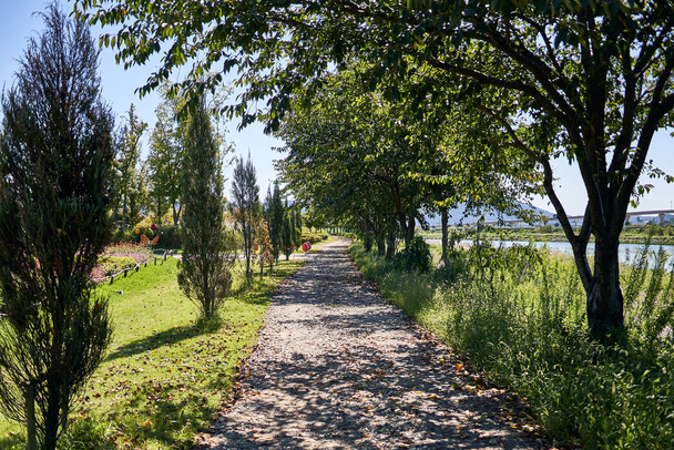 A path surrounded by trees and flowers at a park. - Zdjęcie, obraz