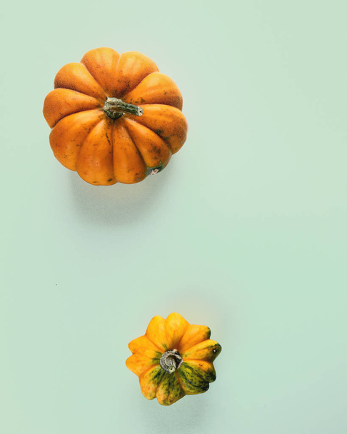 Pumpkins. Autumn concept. - Фото, изображение