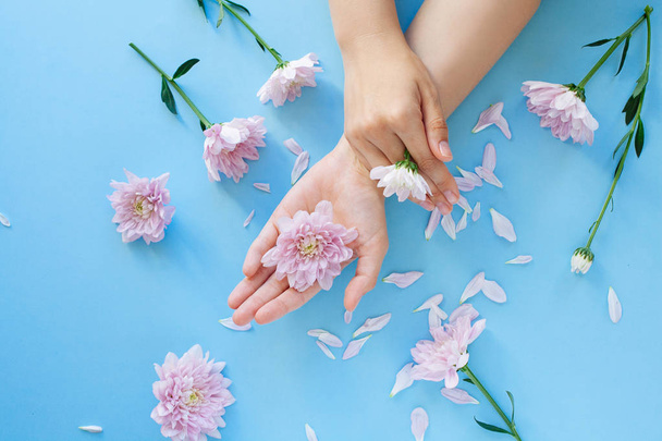 Close up photo of female hands with pink  flowers on light blue  - Фото, зображення