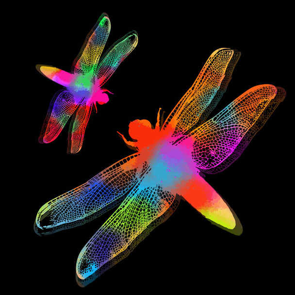 Het silhouet van een regenboog libelle. Vectorillustratie - Vector, afbeelding