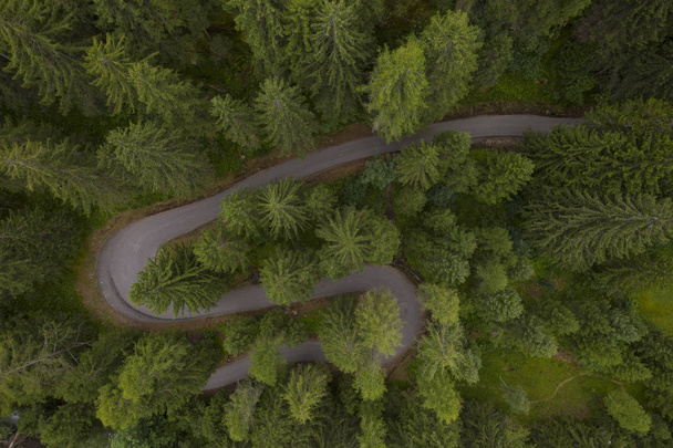 egy S alakú út felett lágy atmoszférájú tűlevelű fák között repülő drónnal készített fénykép - Fotó, kép