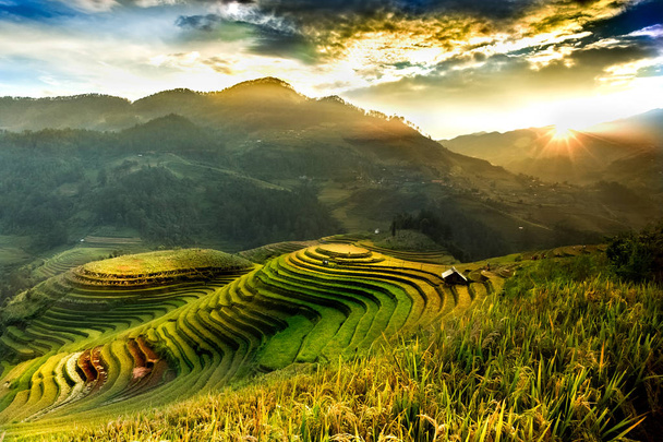 Campos de arroz em terraços de Mu Cang Chai, YenBai, Vietnã. Vietname paisagens
 - Foto, Imagem