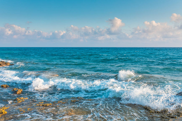 Middellandse Zee of Egeïsche kust, kust of baai zeegezicht met rotsen en golven op het strand van Bodrum stad in Turkije. Zomer landschap met de blauwe zee of oceaan en bomen. Vakantie en vakantie in Turkije. - Foto, afbeelding