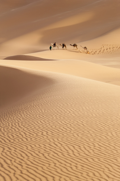 Caravane dans le désert du Sahara, Libye
 - Photo, image