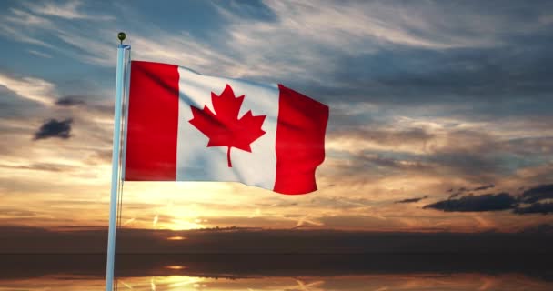 Канадский флаг, машущий ветром, имеет канадский кленовый лист. Знамя или эмблема свободы, политики и патриотизма - 30fps 4k Видео
 - Кадры, видео