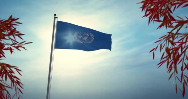 国連組織旗の振動はニューヨークの国連評議会を代表している。安全保障理事会と平和の旗竿- 4k 30fpsビデオ - 映像、動画