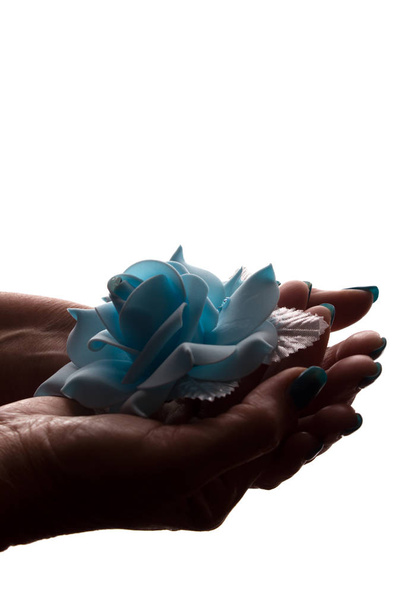 Vrouwelijke handen met kunstmatige bloem, cadeau - silhouet, geïsoleerd, decoratie - Foto, afbeelding