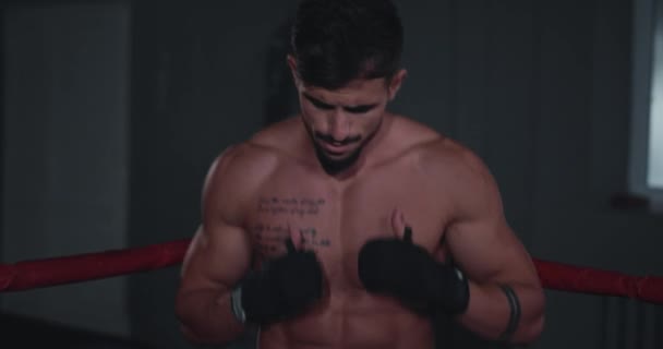 Portrait in front of the camera great looking athletic guy have a boxing workout training in the middle of boxing ring - Video