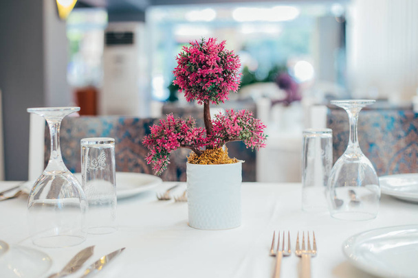 Gläser, Blumengabel, Messer und Blume im Topf serviert für das Abendessen im Restaurant mit gemütlichem Interieur. Restauranttisch innen gedeckt. Veranstaltung oder Arrangement Hochzeitstisch Dekoration - Foto, Bild