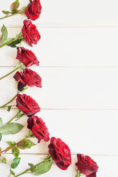 red roses, greeting card template - 写真・画像