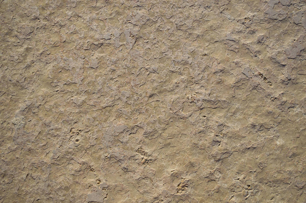 Background of sandstone beige in detail - 写真・画像