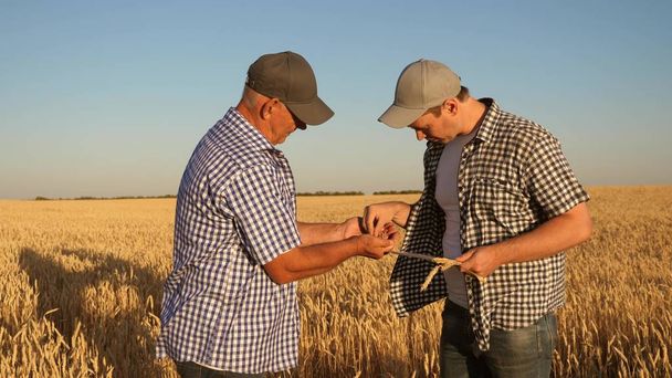 農家やビジネスマンでタブレットはチームとして働いています。農業学者や農家は小麦を手に持っています。収穫のシリアル。ビジネスマンは穀物の品質をチェックします. - 写真・画像