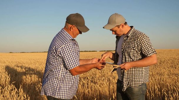 farmer and businessman with tablet working as a team in field. agronomist and farmer are holding a grain of wheat in their hands. Harvesting cereals. A business man checks the quality of grain. - Photo, Image