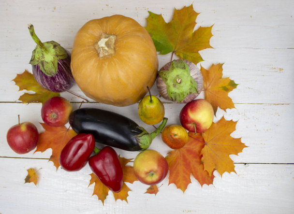 El otoño se va. Fondo colorido de otoño sobre una espalda de madera blanca
 - Foto, imagen