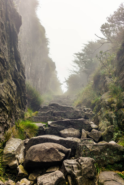 Passing a rock gorge with steep walls while hiking on Table Moun - Foto, Imagem