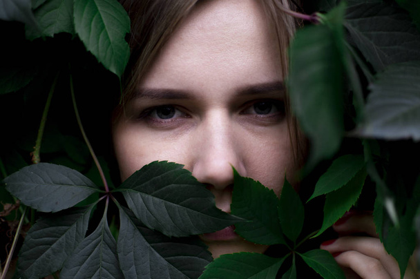 yeşil yapraklı güzel kız, bitkilerde çekici bir kadın portresi, bitki örtüsü bir arka plan üzerinde sevimli yüz, yakın çekim - Fotoğraf, Görsel