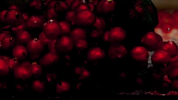 Green scoop-net captura groselhas vermelhas e puxa-o para cima em água transparente sobre fundo preto. Bagas orgânicas frescas no aquário. Mercearia, comida saudável, vegetarianismo. Movimento Lento. Close-up
. - Filmagem, Vídeo