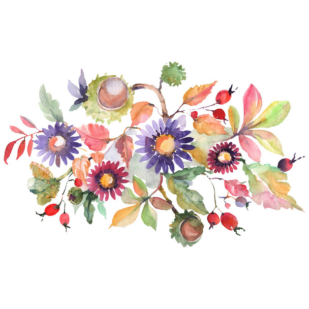 Autumn bouquet with asters and chesthut isolated. Watercolor background set. Isolated bouquet illustration element. - Фото, изображение
