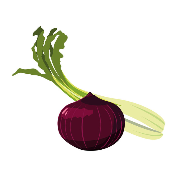 Isolated onion and celery icon vector design - Vector, Image