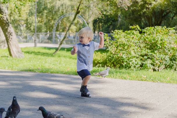 Little boy surrounded by pigeons in the park. - Photo, Image