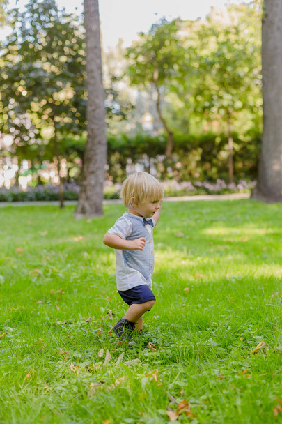Happy little boy on a green lawn in a park. - 写真・画像
