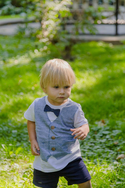Happy little boy on a green lawn in a park. - Zdjęcie, obraz
