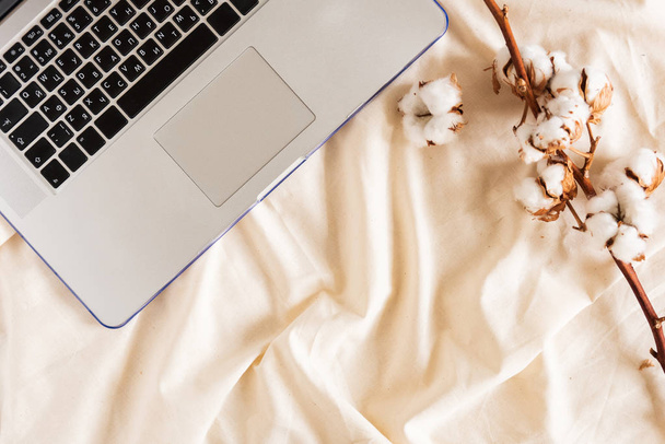 Laptop en tak van katoen bloem op een beige doek - Foto, afbeelding