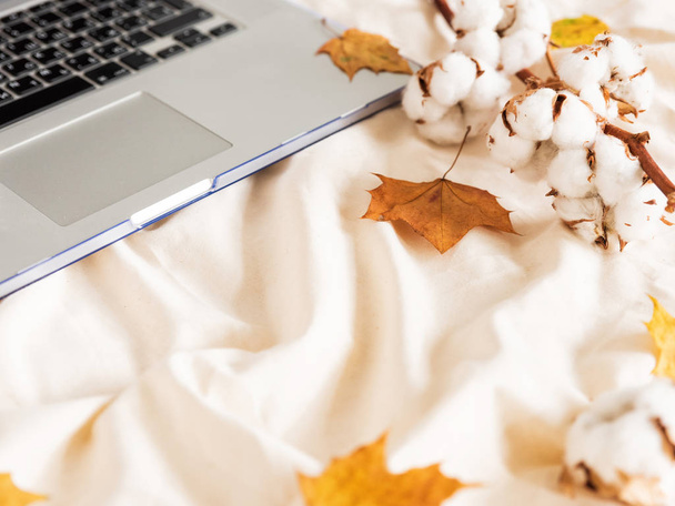 Laptop and Branch of cotton flower on a beige cloth - Photo, Image
