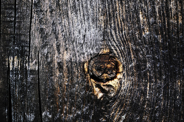 knots on an old wooden surface. wood texture. the background. - Fotoğraf, Görsel