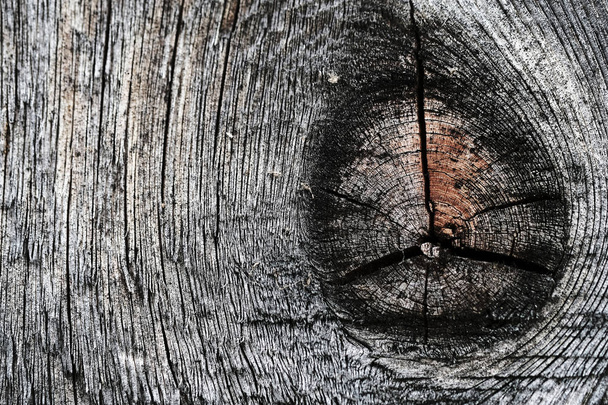 knots on an old wooden surface. wood texture. the background. - 写真・画像