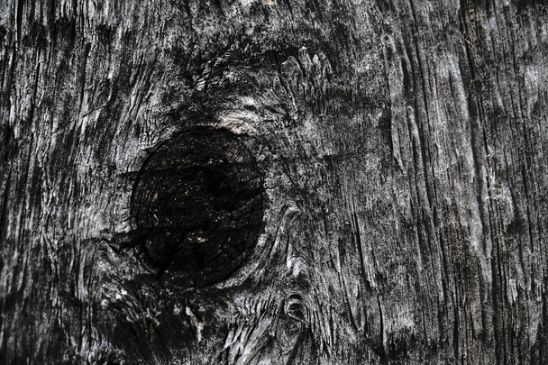 knots on an old wooden surface. wood texture. the background. - Valokuva, kuva