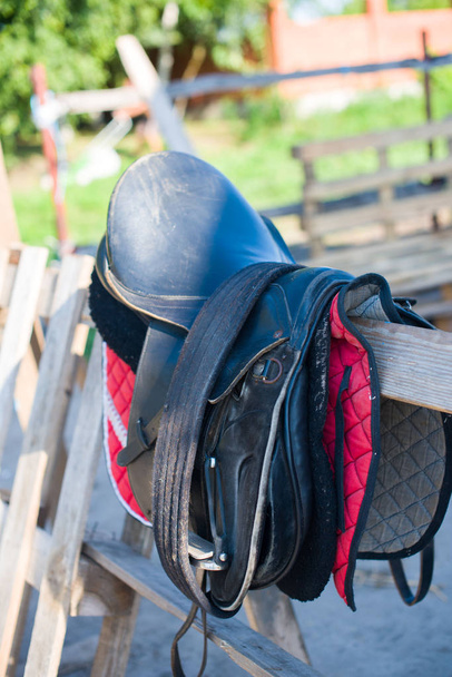 Horse seat on the fence. Ranch, farm, animals. - Photo, Image
