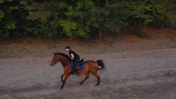 Pohled z výšky ženy jezdícího na hnědém koni venku - Záběry, video