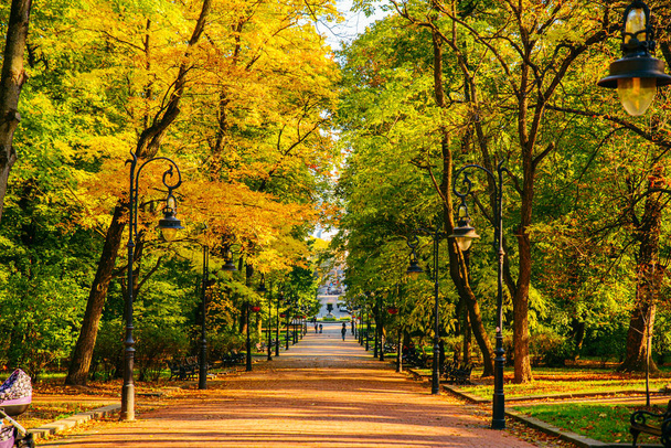 το φθινόπωρο έρχεται με θέα το πάρκο της πόλης με κίτρινα και πράσινα δέντρα - Φωτογραφία, εικόνα