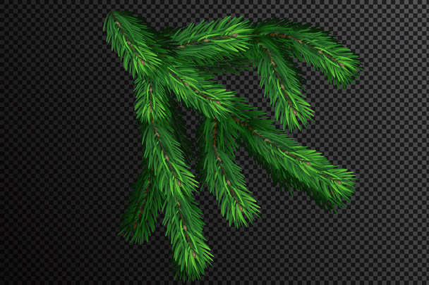Christmas branch. Christmas tree branch. Happy New Year.  - Vector, Image