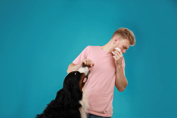 Young man suffering from fur allergy on blue background - Foto, afbeelding