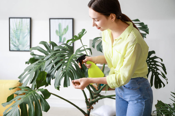 Young woman spraying water on houseplant at home - Foto, immagini