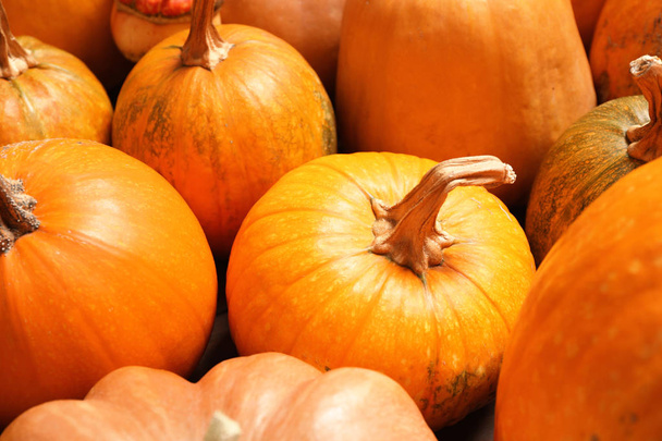 Many fresh raw whole pumpkins as background, closeup. Holiday decoration - Fotó, kép