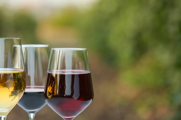Gläser leckeren Wein im Weinberg - Foto, Bild
