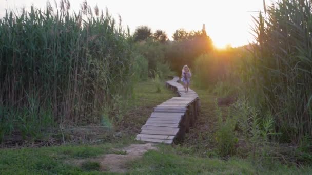 giochi all'aperto per bambini, allegre ragazze attive corrono e si divertono sul ponte di legno tra erba alta verde durante il tramonto
 - Filmati, video