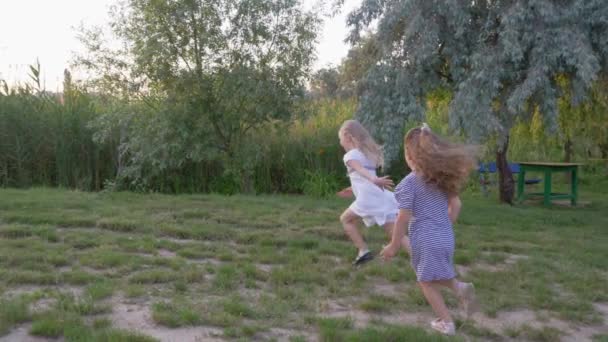 gioiosi piccoli amici ragazze giocare catch-up e correre su prato verde in piena luce del sole
 - Filmati, video