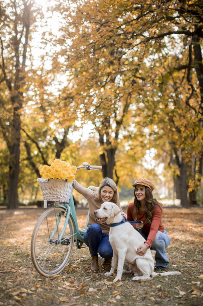 Twee jonge vriendinnen wandelen in het gele herfstpark met hond en fiets - Foto, afbeelding